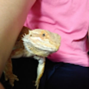 Meet your Posher, Sara